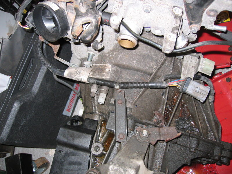 bild3.jpg