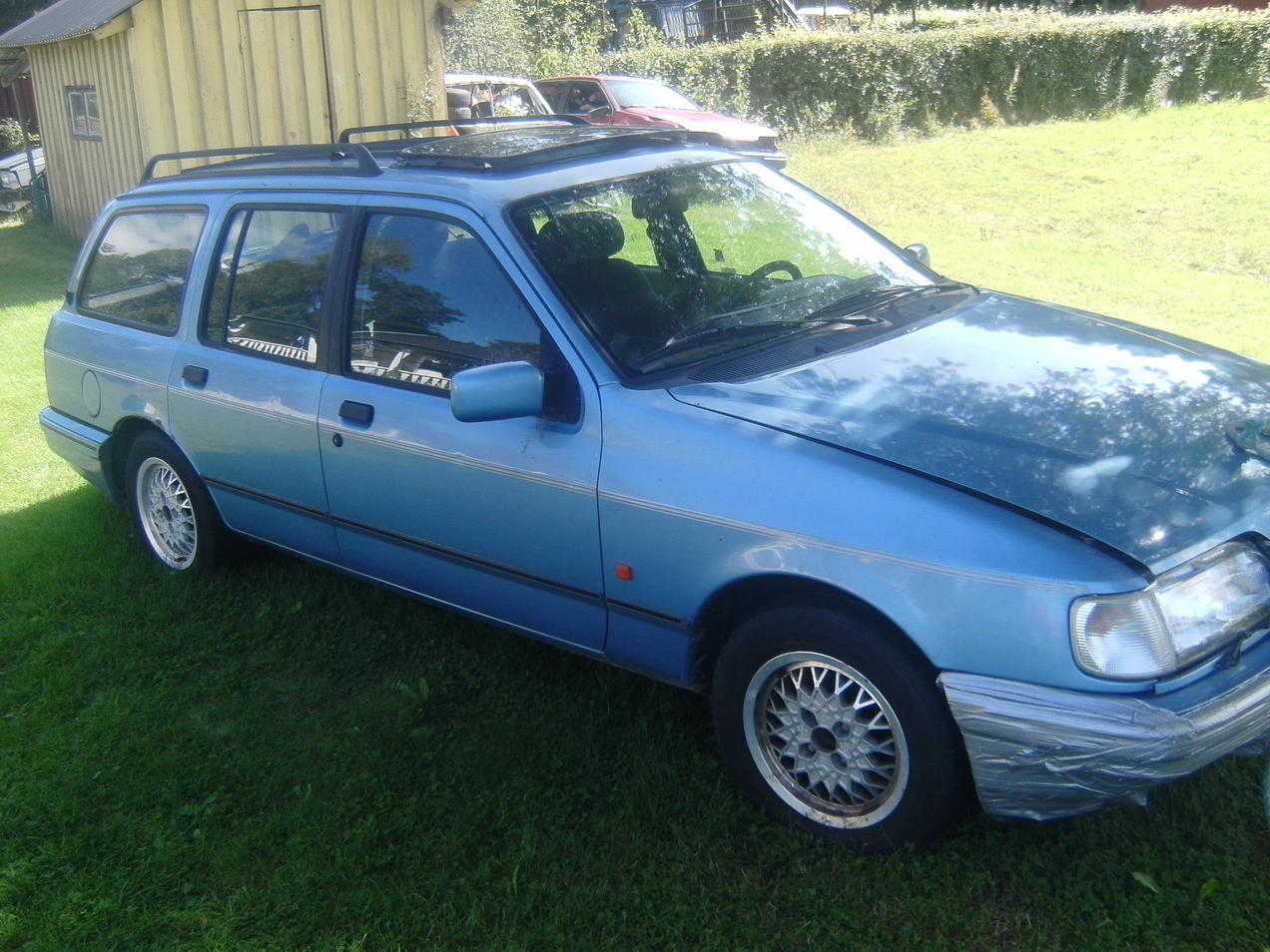 SANY4416.jpg