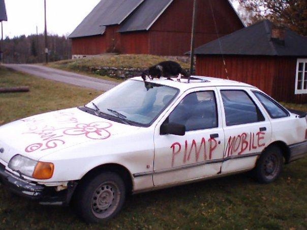 pimpen.JPG