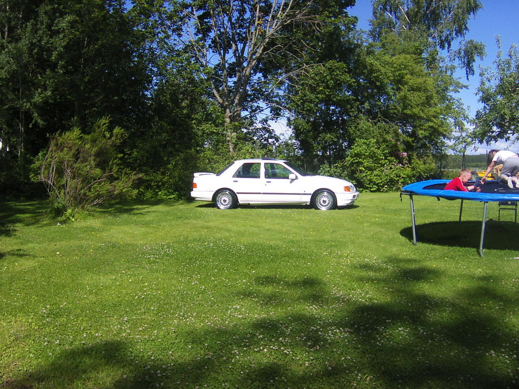 P1350394.jpg