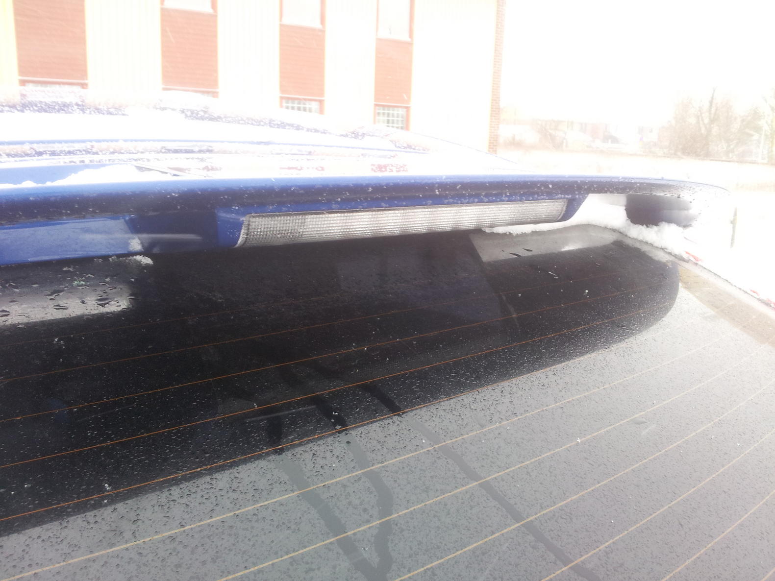 20130320_074134.jpg
