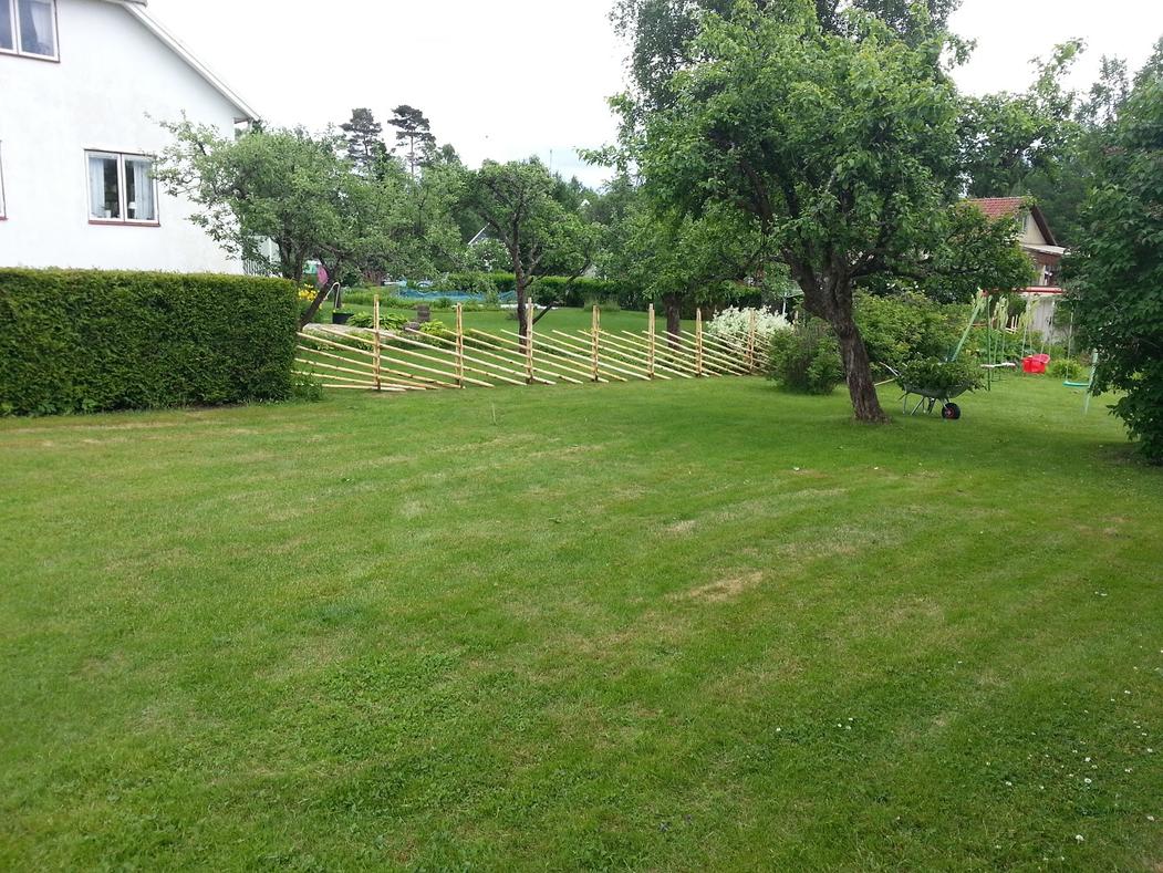 20130615_162442.jpg