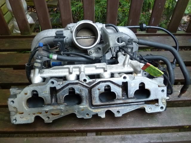 Insug Zetec 1,8l 130hk HO a.png