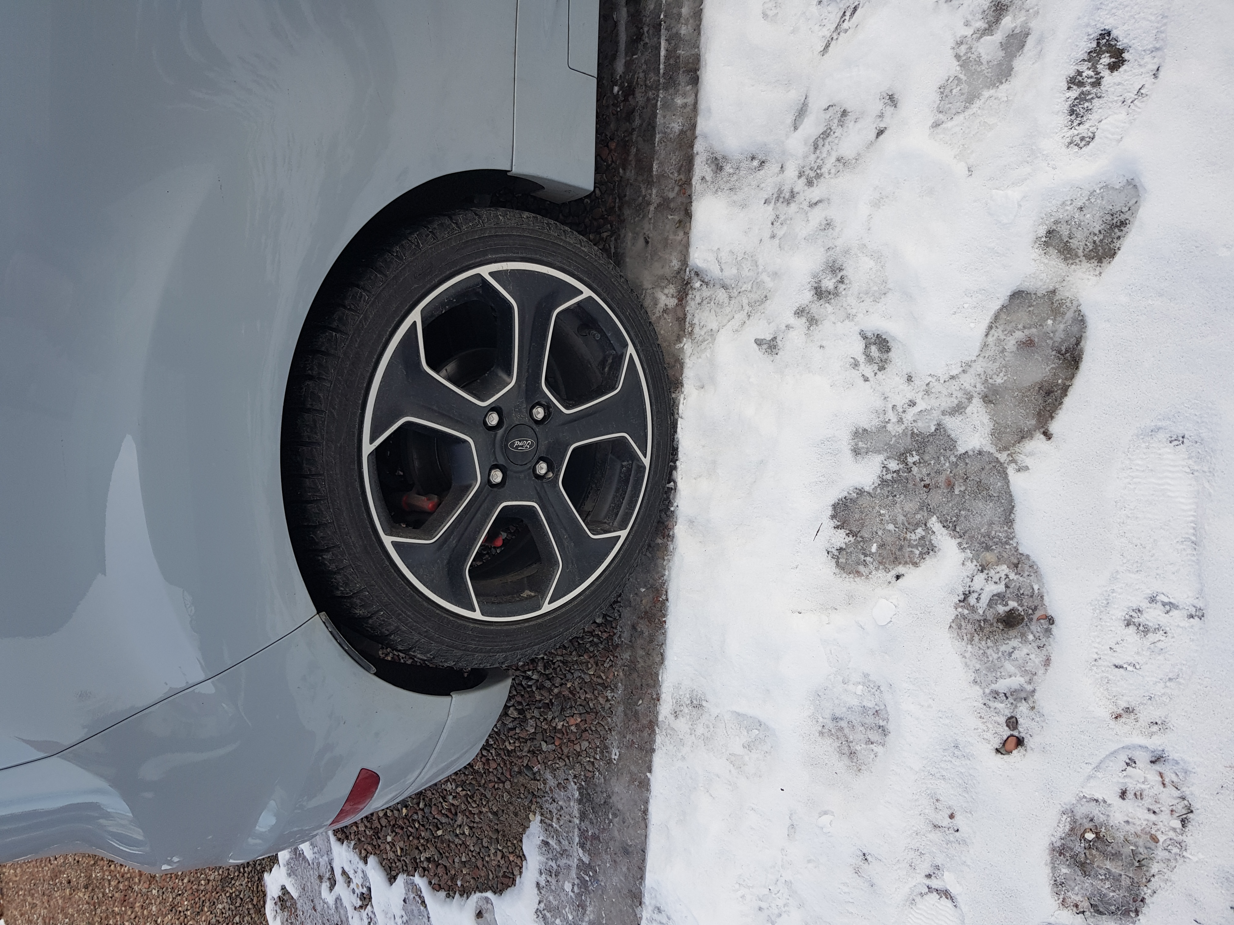 20190312_135810.jpg
